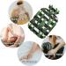 Naanle 2L Transparent Hot Water Bottle with Lid - Stripes Cactus Plant Design for Pain Relief Menstrual Cramps and Heat/Cool Therapy - Ideal for Hands & Feet - Buy Online on GoSupps.com