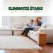 Couch Cleaner & Stain Remover - Safe for Kids & Pets | Effective on Sofas Carpets Upholstery & Rugs - International Shipping Available - Buy Online on GoSupps.com