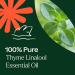 Buy Plant Therapy Thyme Linalool Essential Oil 10 mL - 100% Pure Undiluted Therapeutic Grade - International Shipping Available - Buy Online on GoSupps.com
