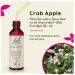 Original Bach Flower Drops No. 10 Crab Apple - 20ml | Find Joy & Hope in Natural Remedies - Buy Online on GoSupps.com