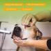 Nobleza Puppy Shampoo - Mild Almond & Honey - Itch Relief for Short-Haired Dogs (250ml) | Ideal for French Bulldogs & Pugs - Buy Online on GoSupps.com