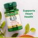 Nature's Bounty Vitamin B12 2500 mcg - Cellular Energy Support for Metabolism - Heart & Nervous System Health - 75 Quick Dissolve Tablets - Buy Online on GoSupps.com