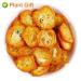 Buy Dried Kumquats Tea 100g - 100% Natural Herbal Tea | Top Quality Chinese Loose Leaf Tea - Plant Poison - Premium Herbal Tea - Buy Online on GoSupps.com