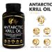 Coc March N.M.D Pure Antarctic Krill Oil 1000mg Omega 3 Fish Oil Supplement with EPA DHA Choline & Astaxanthin Fast Absorption Immune Heart & Joint Support for Men & Women 100 Softgels Krill Omega Oil- - Buy Online on GoSupps.com
