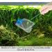 SunGrow Betta Fish Net - 5x4 Inches with 11 Inches Handle - Extra Soft Nylon for Delicate Fin Protection - Ideal for Easy Aquarium Tank Maintenance - Buy Online on GoSupps.com