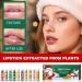 Christmas Moisturizing Lip Gloss Set 10 Pieces Christmas Lip Balms Merry Christmas Lip Balm Lip Gloss Lip Hydration Lip Care Christmas Stocking Filler - Buy Online on GoSupps.com