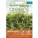Mr Fothergill s Seeds Ltd 35024 Mustard Oriental Green