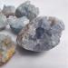 50-100g1-3cm 1pc50-80g Natural Celestine Stone Specimens Raw Stone Home Decor Blue Celestite Stone (Color : 50g 1-3cm) (Color : 60-80g/1pc) - Buy Online on GoSupps.com