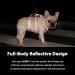Huntboo No Escape Dog Harness Escape Proof Harness Fully Reflective Harness with Padded Handle Breathable Durable Adjustable Vest for Medium Dogs Walking Training and Running Gear (Teal M) Medium(Pack of 1) Blue - Buy Online on GoSupps.com
