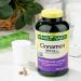 Spring Valley Cinnamon Dietary Supplement 1000mg 400 Count with Luall Sticker - Buy Online on GoSupps.com