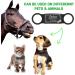 Natiform Personalized Dog Tags Slide-On Pet ID Tags Fun Wild Flower Frame Design Stainless Steel Dog Name Tags Engraved No Noise Customized Pet Identification Tags(L Black) - Buy Online on GoSupps.com