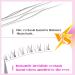 ALICROWN A-Natural I (1A) 5 Pairs Lower Wispy Manga Fake Eyelashes - DIY Individual False Eyelashes for Bottom Lashes - Buy Online on GoSupps.com