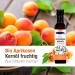 Buy Ayursana Organic Apricot Kernel Oil 250ml - Premium Quality for Skin & Hair | International Shipping Available - Buy Online on GoSupps.com