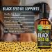 Black Seed Oil 100% Virgin Cold Pressed Organic Black Currant Seed Oil Black Cumin Seed Oil Super Antioxidant for Hair & Skin | Vegan Gluten-Free Non-Gmo 2fl Oz - Buy Online on GoSupps.com