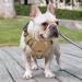 Shop Heele Dog Crockery & Adjustable Reflective Anti-Pull Harness for Large Dogs | Durable Comfortable and Stylish Khaki Design - Buy Online on GoSupps.com