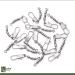 Zite Fishing Triple Swivel Set - 15 Pieces 3 Sizes for Trout & Sbirolino - Essential Fishing Accessories - Buy Online on GoSupps.com