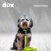 DDOXX 2m Nylon Dog Leash - 3-Way Adjustable for All Sizes - Yellow M - Durable & Stylish - Buy Online on GoSupps.com