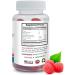 Immune System Support - Elderberry Gummies - Plant-Based Black Elderberry with Vitamin C All-Natural Ingredients - Raspberry Flavor Antioxidants Non-GMO Gluten-Free Soy-Free 2 Bot 120 Gummies - Buy Online on GoSupps.com