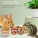 ERKOON Rabbit Chew Toys - Natural Small Animal Treats for Guinea Pig, Hamster, Chinchilla, Gerbil, Squirrel - Teeth Care & Playtime Fun for Bunnies and Rabbits - Buy Online on GoSupps.com