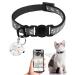 Reflecting cat collar kitten collar with bell and safety buckle including QR code for girls or boys cats and kittens waterproof comfortable adjustable (gray)