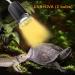 Naneezoo Turtles Heat Lamp - 25W Reptile Heating & UV Spot Lamp for Terrariums | E27 Clip-On Radiator for Turtles Lizards Spiders & Chameleons - 3 Pack - Buy Online on GoSupps.com