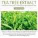 Tea Tree Serum Oil for Acne - 20% Vitamin C Hyaluronic Acid Retinol | Anti-Aging Dark Spots & Blemish Treatment | 2 Fl Oz (60 ml - Buy Online on GoSupps.com