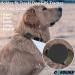 Silicone Holder Compatible for Tracki Dog GPS Tracker Rubber Accessories Cover Finder Anti-Scratch Secure Sturdy Case with Strap for Dog Pet Cat Collar (Black) - Buy Online on GoSupps.com