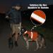 High Visibility Reflective Dog Vest - Adjustable Safety Vest for Outdoor Activities - Size S Orange | Keep Your Dog Safe Day & Night - Buy Online on GoSupps.com