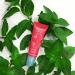 eos the Fixer Medicated Lip Balm Oinment Lip Care to Prepare and Protect Dry Lips Mint 10ml - Buy Online on GoSupps.com