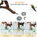 Natural Wild Grape Parrot Perch Stand for Parakeet, Budgies, Lovebirds - Style 1 - Buy Online on GoSupps.com