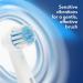 Buy Battery Powered Electric Toothbrush | Best Battery Operated Toothbrush for Adults & Kids - Fast International Shipping - Buy Online on GoSupps.com