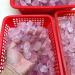 Gift for Family 50G Natural Raw Pink Rose Quartz Crystal Rough Stone Specimen Crystal Love Natural Stones and Minerals Fish Tank Stone Lucky Stone Natural Stones and Minerals - Buy Online on GoSupps.com