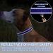 Personalised Reflective Dog Collar with Engraved Metal Buckle - Custom Name Plate - Adjustable - Dark Blue - Small (S) Neck 30-40cm Width 1.5cm - Buy Online on GoSupps.com