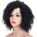 Black Fluffy Curly Wig for Black Women - Heat-Resistant Synthetic Full Wig for Cosplay & Daily Wear - Buy Online on GoSupps.com