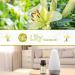 Lily Essential Oil 10ml - 100% Pure & Organic Fragrance Oil for Aromatherapy, Diffuser, Candle & Soap Making - Brown Bottle - Pack of 1 - Buy Online on GoSupps.com
