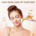 Amirce 2-in-1 Gua Sha & Ice Roller Set - Electric Face Massager for Skin Care & Facial Treatment | Gold - Buy Online on GoSupps.com