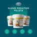 Pond Perfections Sludge Reduction Pellets 10lbs Natural Muck Remover for Ponds and Lakes 10 LBS - Buy Online on GoSupps.com