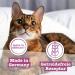 Catz Finefood Multipack 2 - Delicatessen Wet Cat Food 12 x 85g Varieties (Chicken Tuna Beef Lamb Shrimp) - International Shipping Available - Buy Online on GoSupps.com