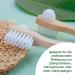 Wellsamed Savings Set: Denture Toothbrush & Blend-a-Dent Hygienic Toothpaste - Eco-Friendly Bamboo Brush for Third Teeth - Buy Online on GoSupps.com