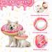 Shop Halskruff Adjustable Donut Cat Collar - Soft Anti-Bite Protective Collar for Kittens & Puppies | Post-Surgery Recovery - Buy Online on GoSupps.com