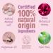 Salt of the Earth Refillable Natural Deodorant Spray 100% Natural Origin Ingredients - Vegan Long Lasting Protection Suitable For Women Men & Kids Peony Blossom - 100ml Peony Blossom 100 ml (Pack of 1) - Buy Online on GoSupps.com