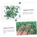 minkissy 1 Glass Chip DIY Charm Fillers Rhinestone for Nails Colored Vases Bulk Flower Vases Colored Glass Vase Colorful Rhinestones Epoxy DIY Nail Art Crushed Glass Irregular Nail Stickers 0.5X0.3cm Green - Buy Online on GoSupps.com