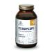 PURICA Cordyceps Sinensis Capsules - 360ct for Enhanced Immune & Energy Support Kidney Health Adult Immune Booster Organic Mushroom Extract Supplement for Stamina & Vitality