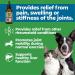Animal Essentials Joint Support Supplement for Dogs and Cats 1oz - Alcohol-Free Pain Relief - Made in USA - Buy Online on GoSupps.com