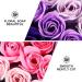 Shop Balacoo Artificial Roses - Romantic Soap Flower Boxes for Special Occasions | International Shipping Available - Buy Online on GoSupps.com