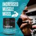 GN Creatine Powder | 500g Creatine Monohydrate Powder - 5g High Strength Creatine per Serving | Unflavoured Filler Free Creatine Monohydrate | Non-GMO & Gluten Free 100 Servings - Buy Online on GoSupps.com