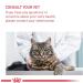 Royal Canin Maine Coon Adult Cat Food 85g x 24 - Buy Online on GoSupps.com