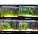 COODIA Internal Green Water Killer Filter for Aquarium Tank - U-V Pump - Buy Online on GoSupps.com