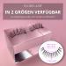 Florylash Doll Eye Look - Magnetic Eyelashes with 3 Magnets | 3D Volume Reusable No Eyeliner Needed (Size M 28mm) - Buy Online on GoSupps.com