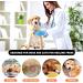 Inflatable Sore Crane Dog & Cat Recovery Cone - Adjustable Leak-Proof Collar for Post-Op Wounds - Buy Online on GoSupps.com